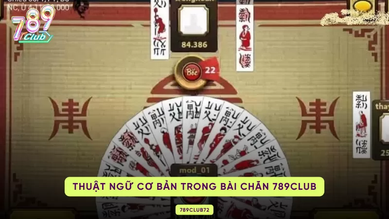 thuật ngữ trong bài chắn